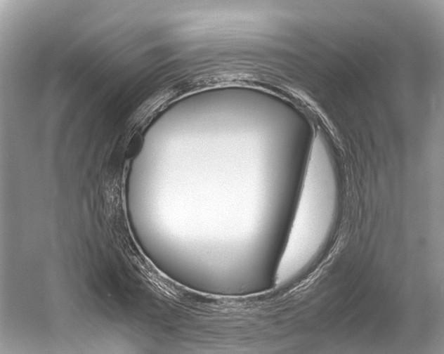 X0000061110785200511180933