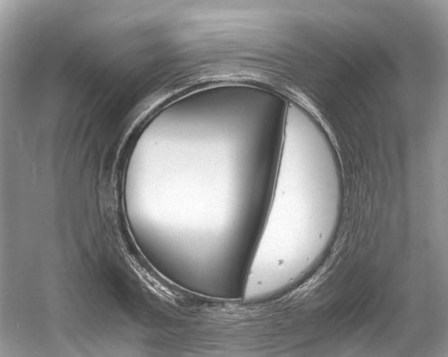 X0000061110787200511180933