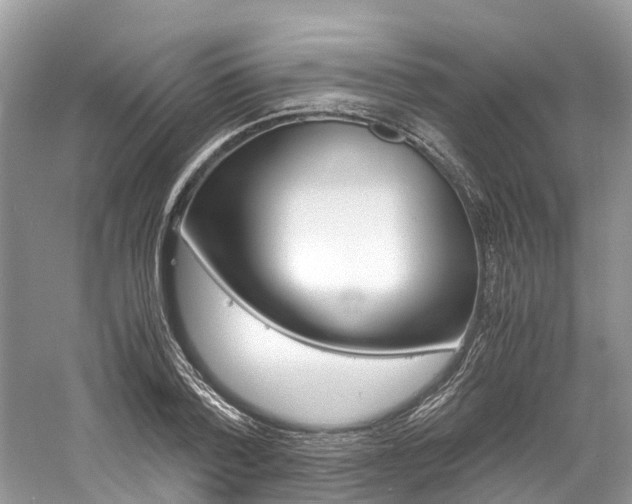 X0000061110788200511180933