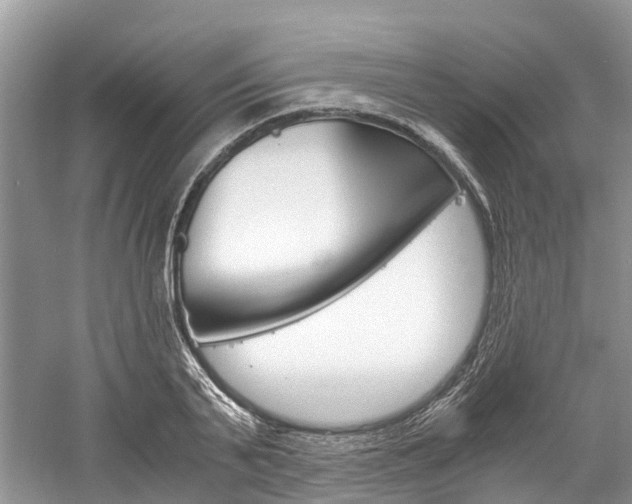 X0000061110791200511180933