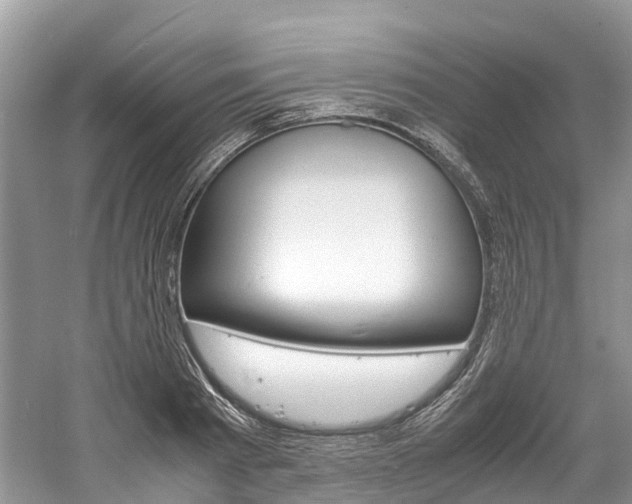 X0000061110793200511180933