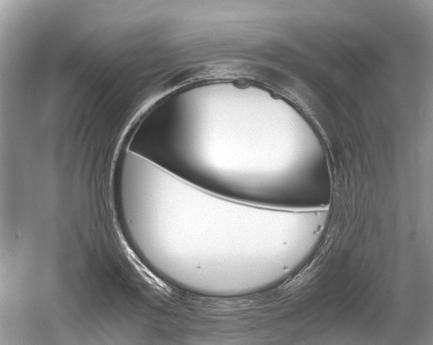 X0000061110795200511180933