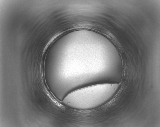 X0000061110796200511180933