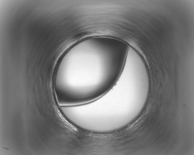 X0000061110797200511180933