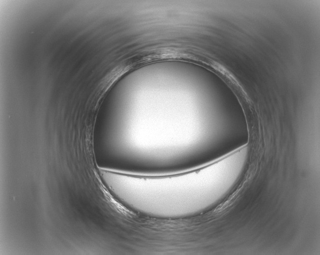 X0000061110801200511180933