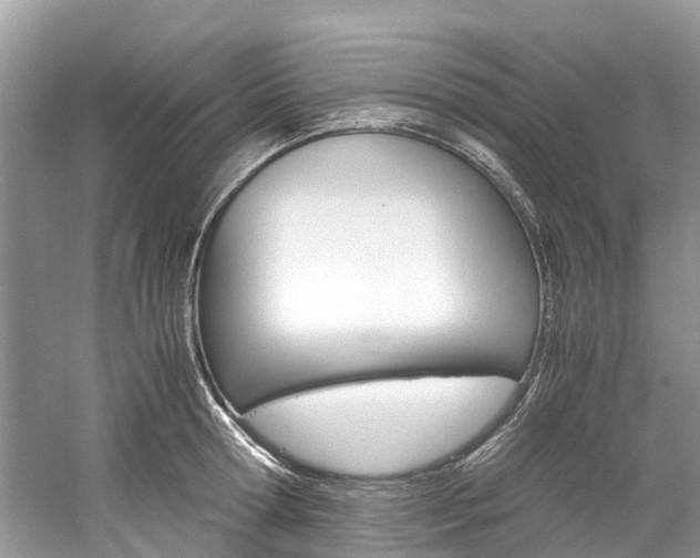 X0000061110802200511180933