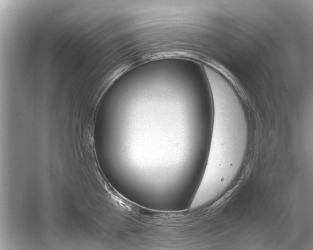 X0000061110809200511180932