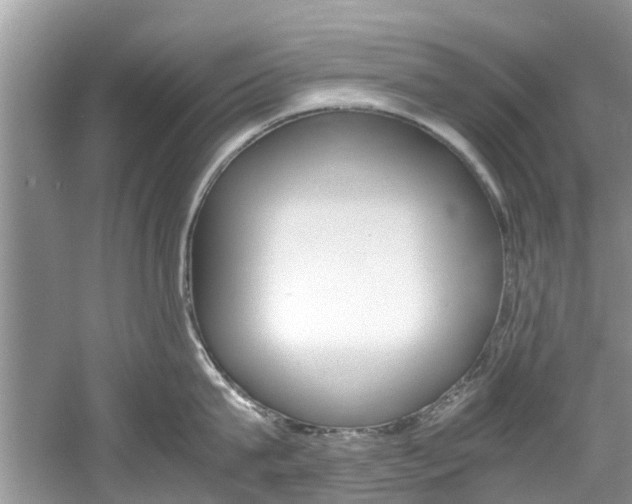 X0000061110815200511180932