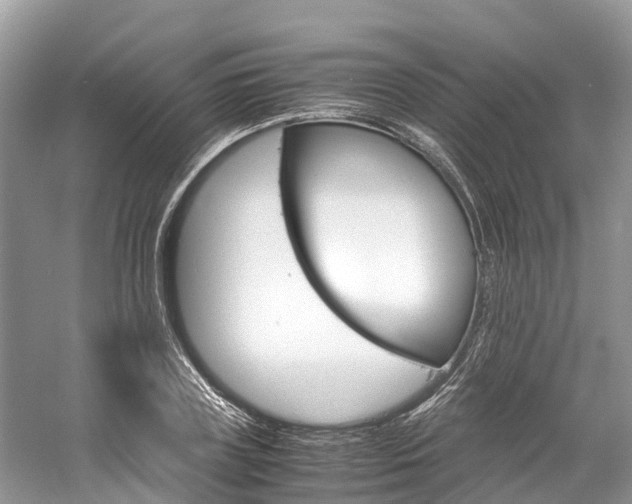 X0000061110835200511180932