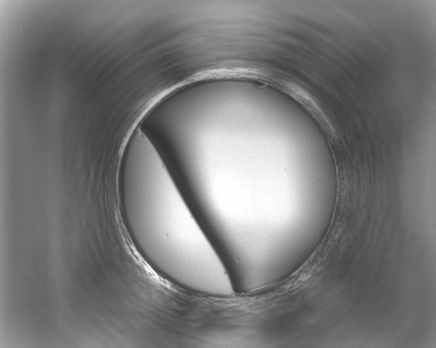 X0000061110852200511180932