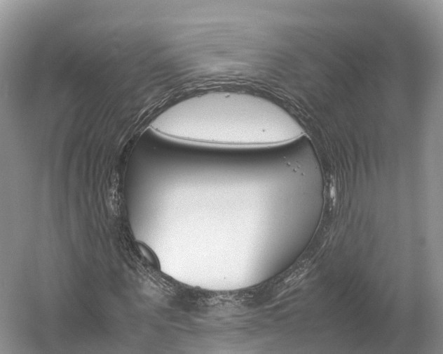 X0000061110867200511180931