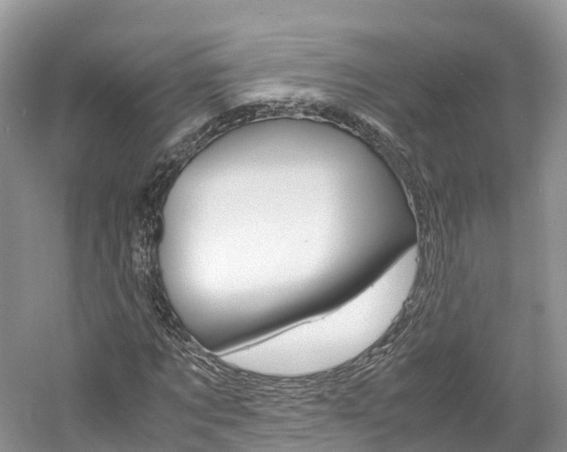 X0000061110869200511180931