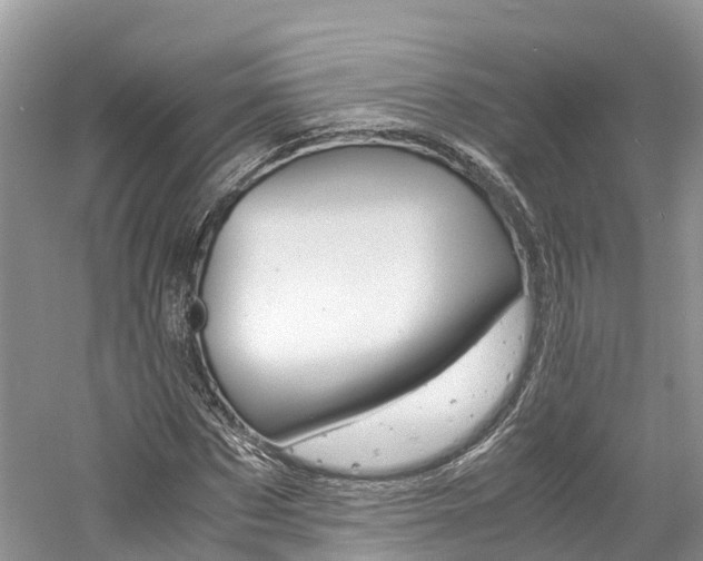 X0000061110873200511180931