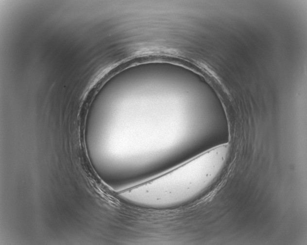 X0000061110877200511180931