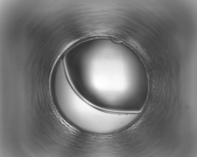 X0000061110884200511180931