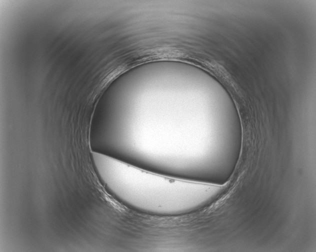 X0000061110889200511180931