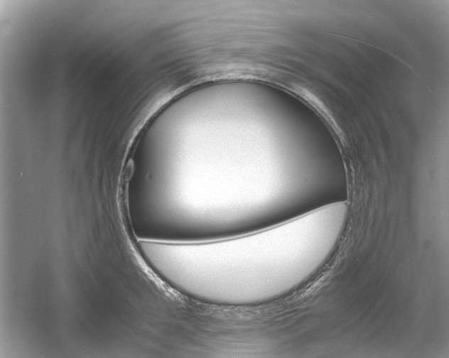 X0000061110901200511180931