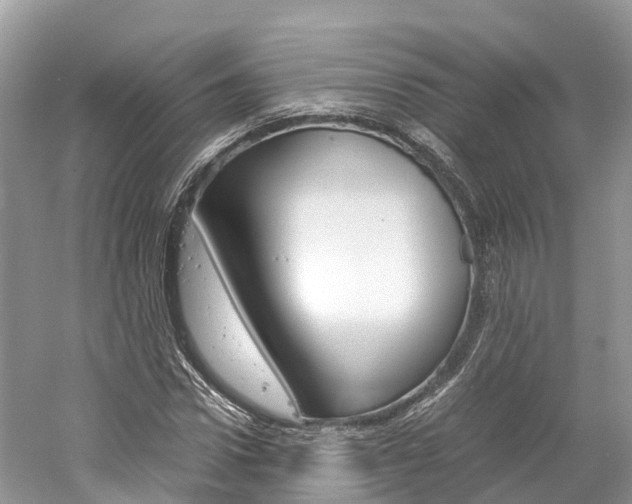 X0000061110922200511180930