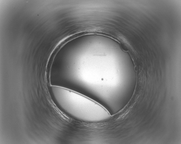 X0000061110932200511180930