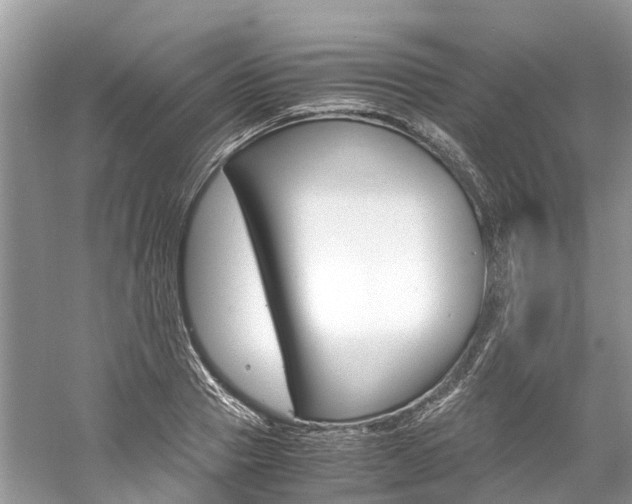 X0000061110937200511180930