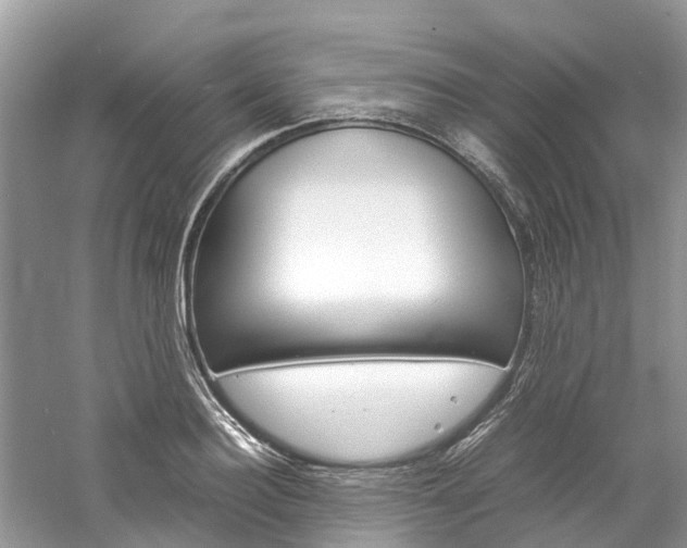 X0000061110940200511180930