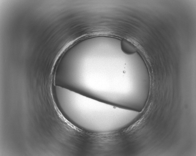 X0000061110941200511180930