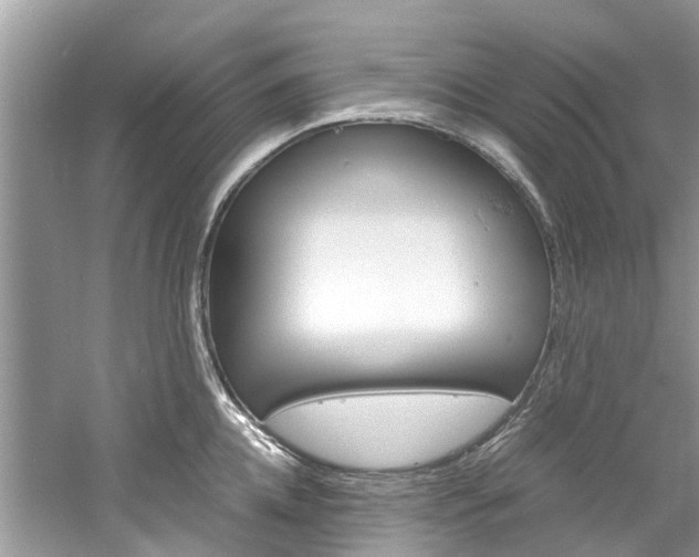 X0000061110952200511180931