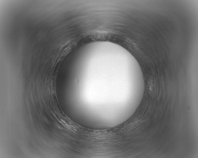 X0000061110964200511180930