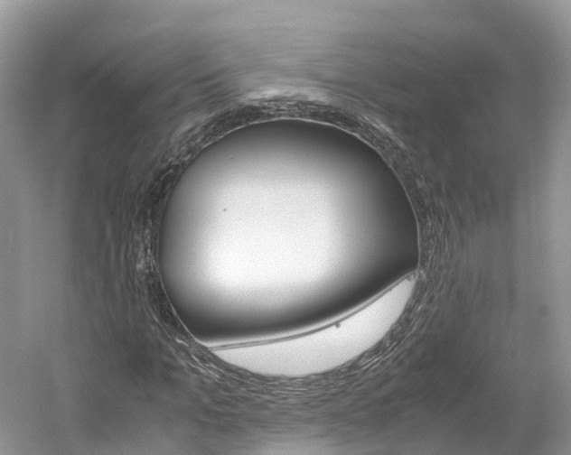 X0000061110965200511180930