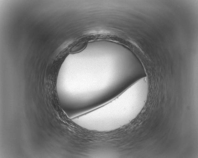X0000061110967200511180930
