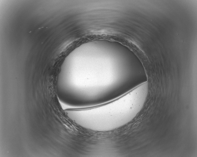 X0000061110968200511180930