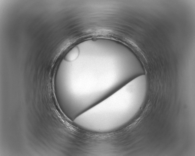 X0000061110978200511180930
