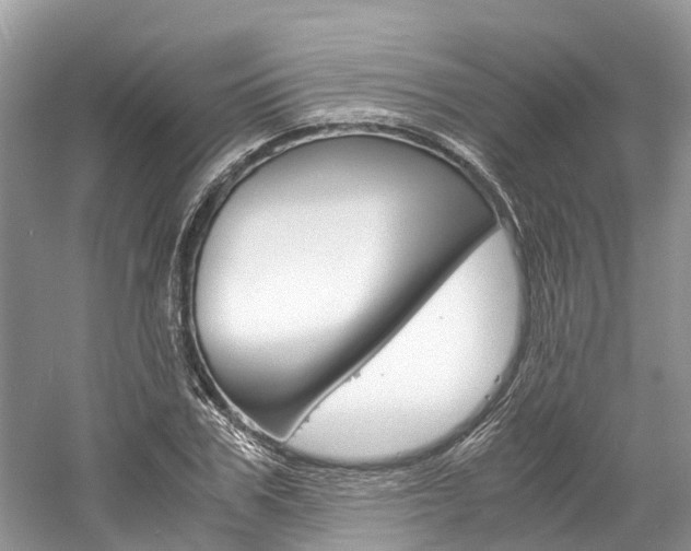 X0000061110979200511180930
