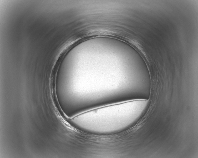X0000061110987200511180929