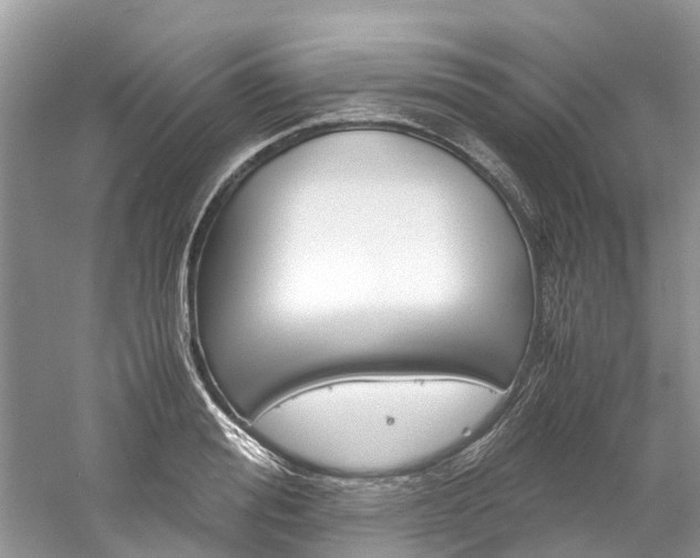 X0000061110988200511180929