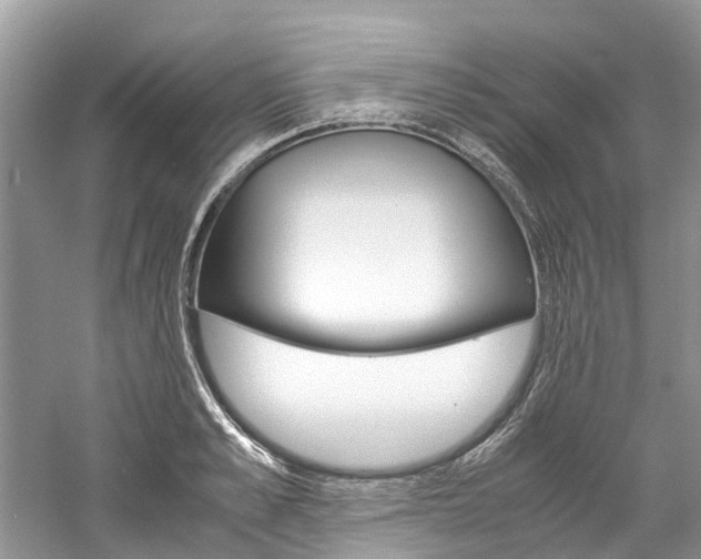 X0000061110989200511180929
