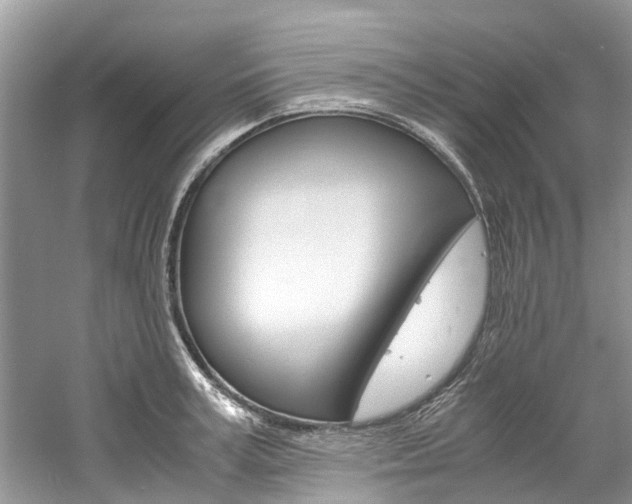 X0000061110995200511180929