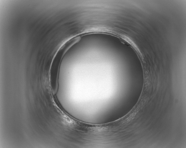 X0000061110996200511180929