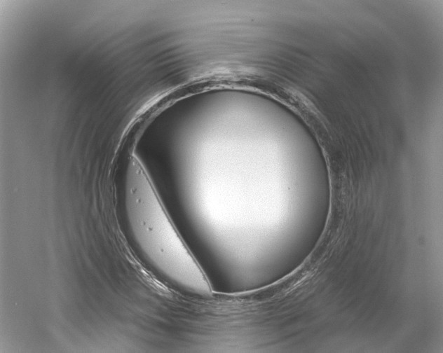 X0000061111018200511180928
