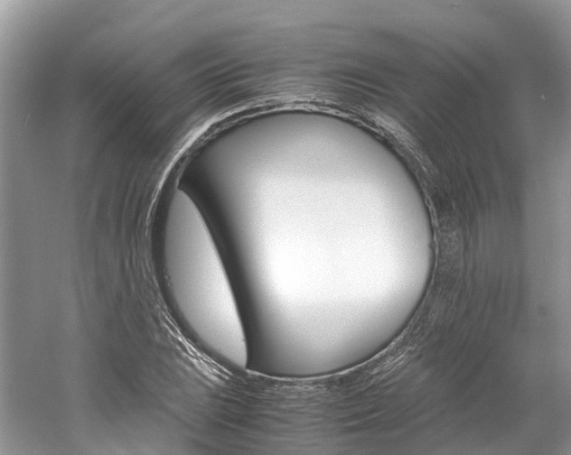 X0000061111023200511180929