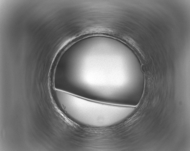 X0000061111024200511180929