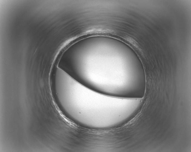 X0000061111030200511180929