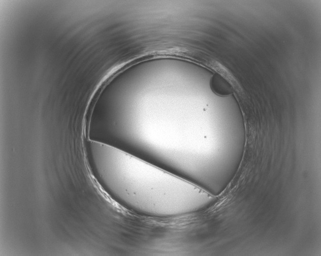 X0000061111036200511180929