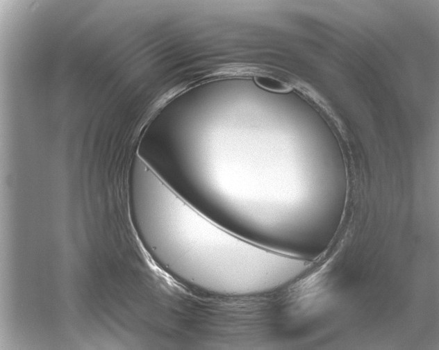 X0000061111049200511180929