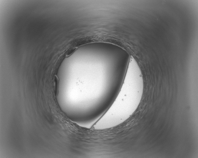 X0000061111057200511180928