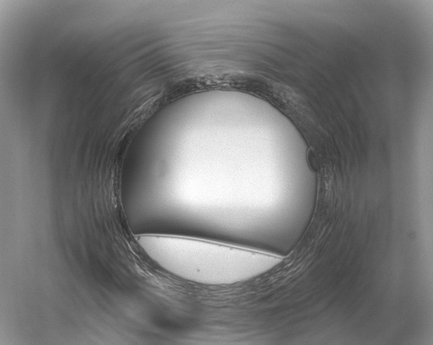 X0000061111060200511180928
