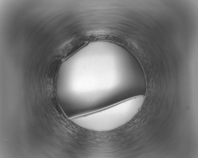 X0000061111062200511180928