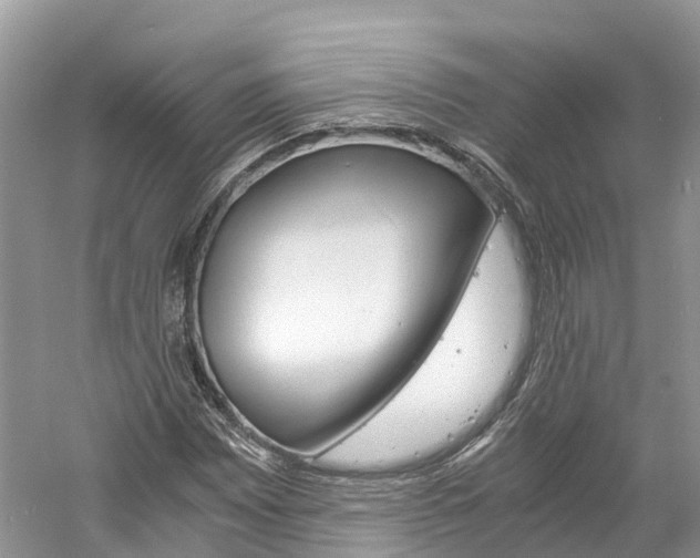 X0000061111065200511180928