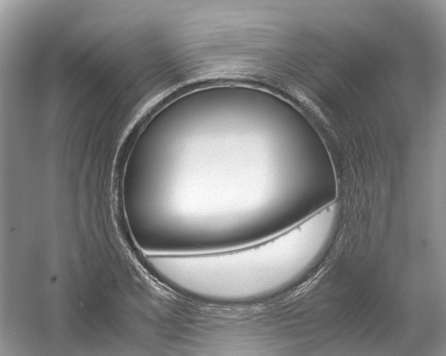 X0000061111077200511180928