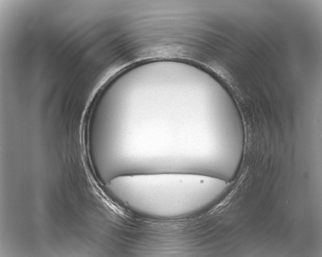 X0000061111078200511180928